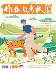 作文与考试·初中版