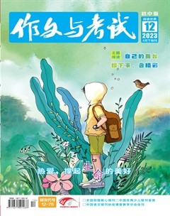作文与考试·初中版