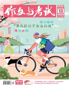 作文与考试·初中版