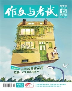 作文与考试·初中版