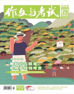 作文与考试·初中版
