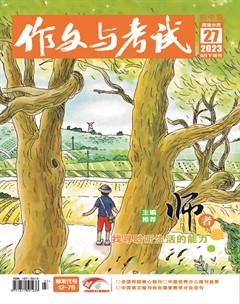 作文与考试·初中版