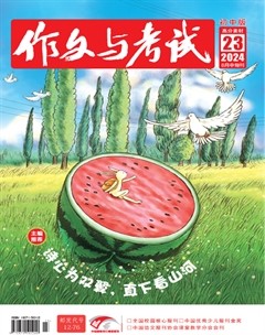 作文与考试·初中版