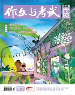 作文与考试·初中版