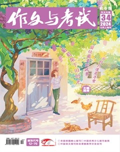 作文与考试·初中版