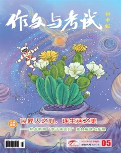作文与考试·初中版