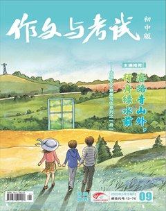 作文与考试·初中版