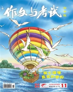 作文与考试·初中版