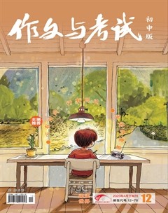 作文与考试·初中版