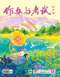 作文与考试·初中版