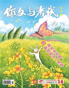 作文与考试·初中版