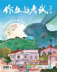 作文与考试·初中版