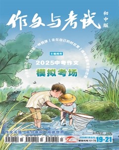 作文与考试·初中版