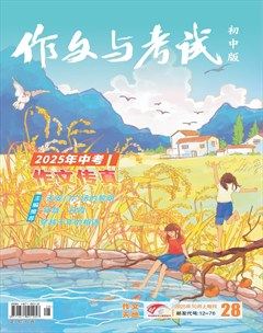 作文与考试·初中版