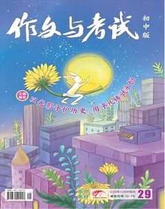 作文与考试·初中版