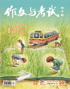 作文与考试·初中版