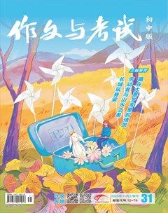 作文与考试·初中版