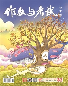 作文与考试·初中版