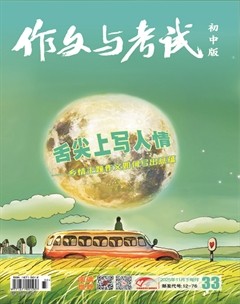 作文与考试·初中版