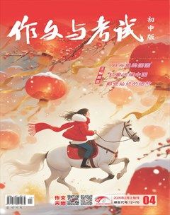 作文与考试·初中版