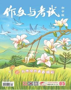 作文与考试·初中版