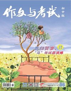 作文与考试·初中版