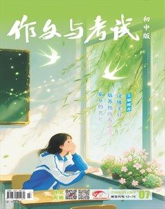 作文与考试·初中版