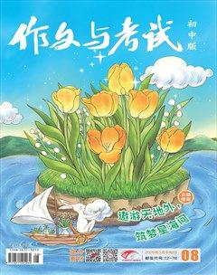 作文与考试·初中版