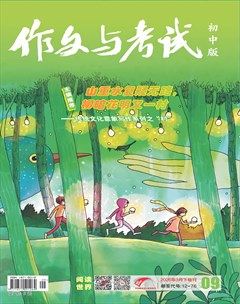 作文与考试·初中版