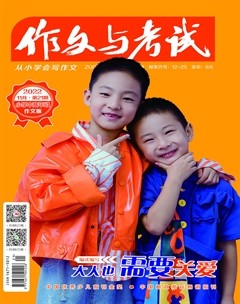 作文与考试·小学版