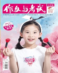 作文与考试·小学版