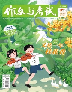 作文与考试·小学版