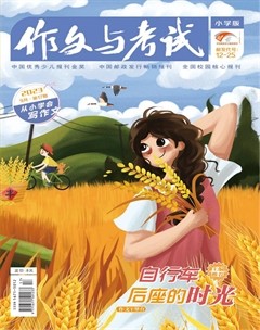 作文与考试·小学版