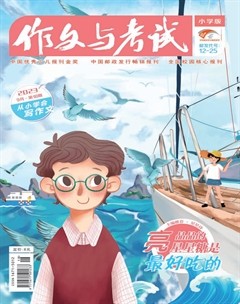 作文与考试·小学版
