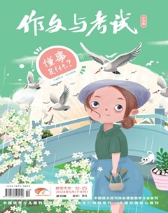 作文與考試·小學版