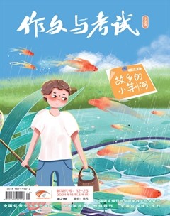 作文与考试·小学版
