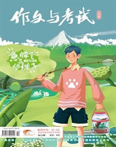 作文与考试·小学版
