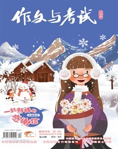 作文与考试·小学版