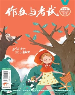 作文與考試·小學(xué)版