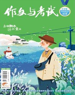 作文与考试·小学版