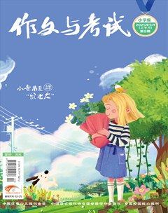 作文与考试·小学版