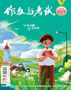 作文与考试·小学版