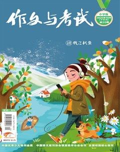 作文与考试·小学版