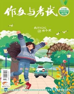 作文与考试·小学版