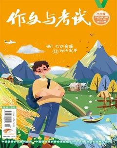 作文与考试·小学版