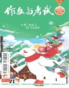 作文与考试·小学版