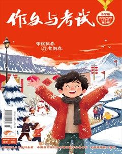 作文与考试·小学版
