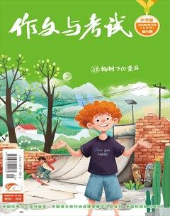 作文与考试·小学版