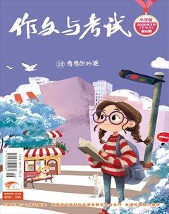 作文与考试·小学版