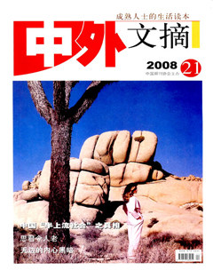 2008年第21期